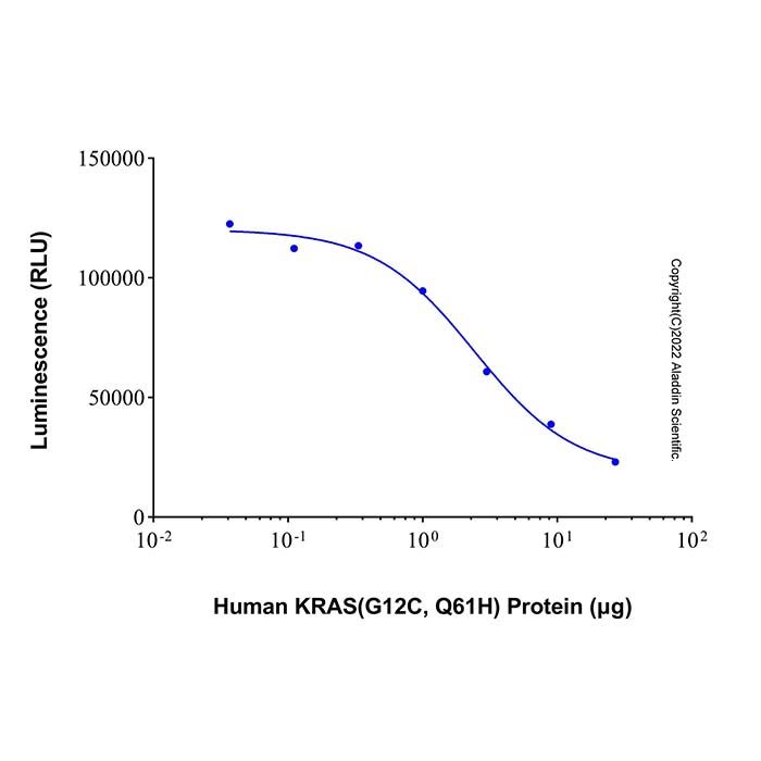 Recombinant Human KRAS (G12C, Q61H) Protein
