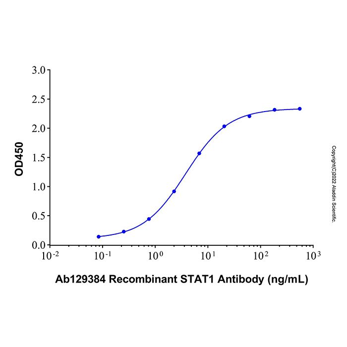 Recombinant Human STAT1 Protein