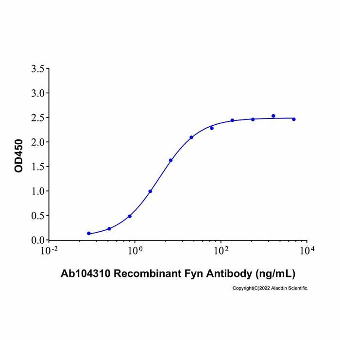 Recombinant Human Fyn Protein