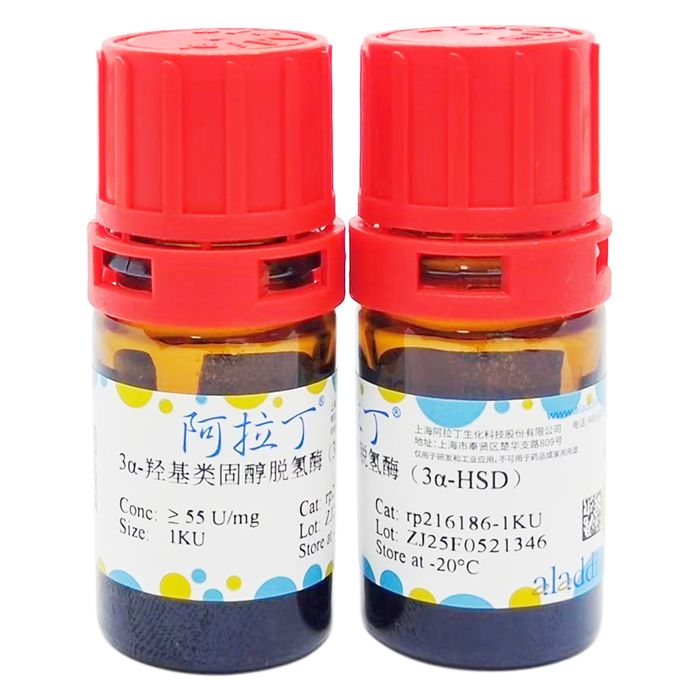 3α-羟基类固醇脱氢酶（3α-HSD）