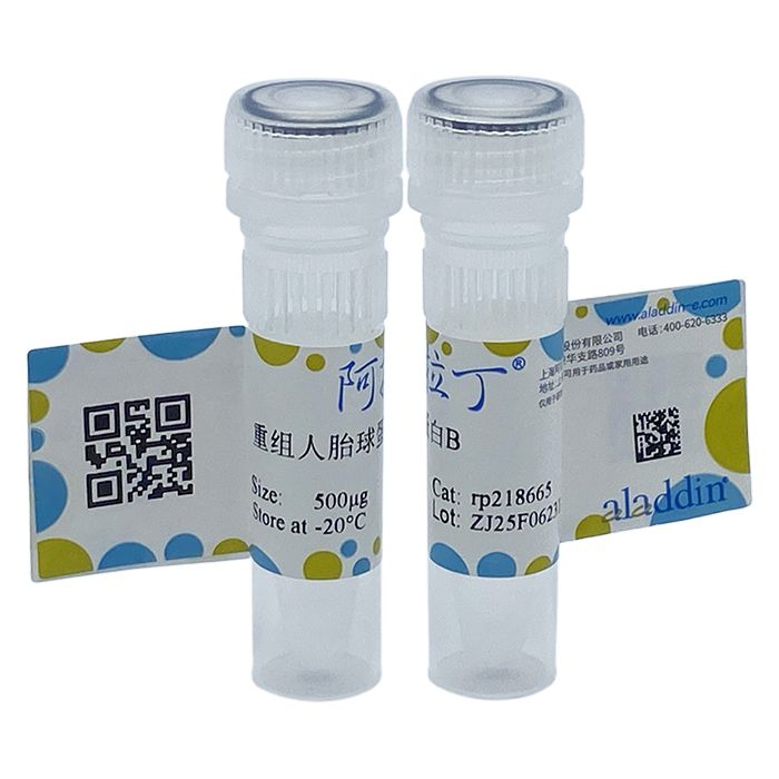 Recombinant Human Fetuin B Protein