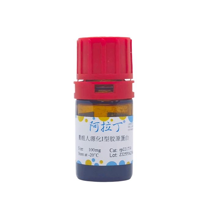 重组人源化I型胶原蛋白