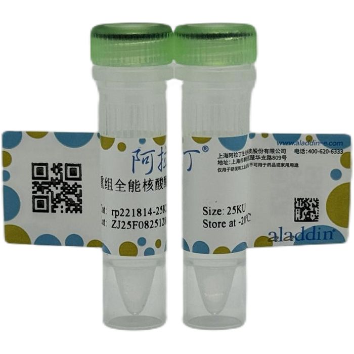重组全能核酸酶