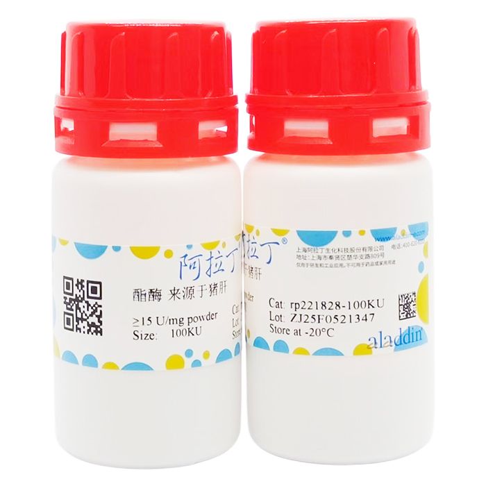 酯酶 来源于猪肝