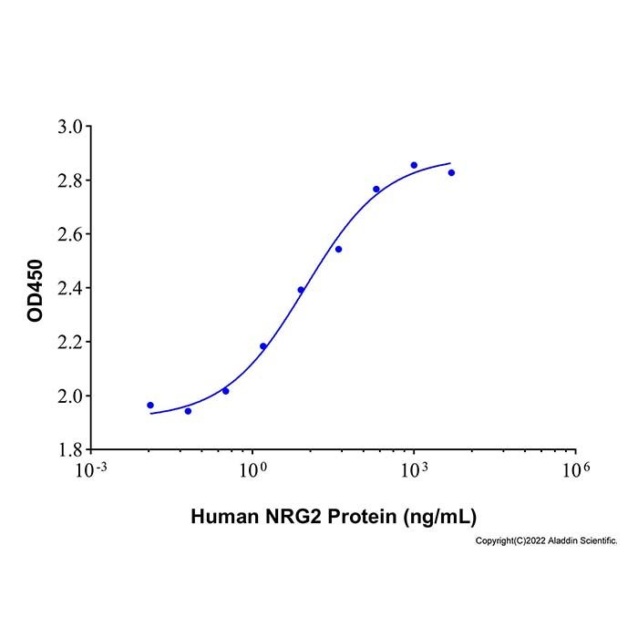 Recombinant Human Neuregulin-2/NRG2 Protein 