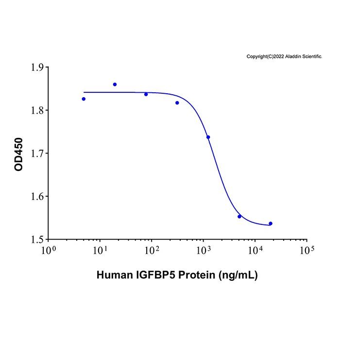 Recombinant Human IGFBP5 Protein