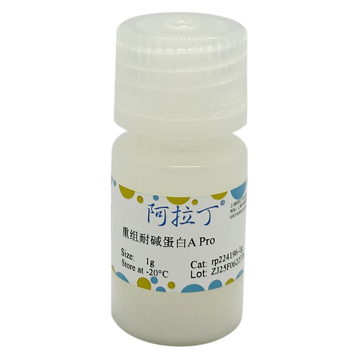重组耐碱蛋白A Pro