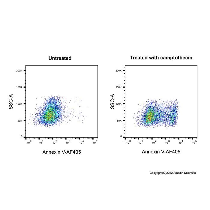 Annexin V-AF405