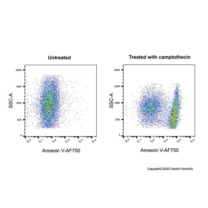 Annexin V-AF750
