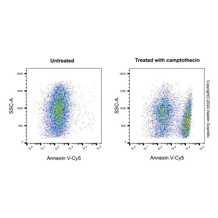 Annexin V-Cy5