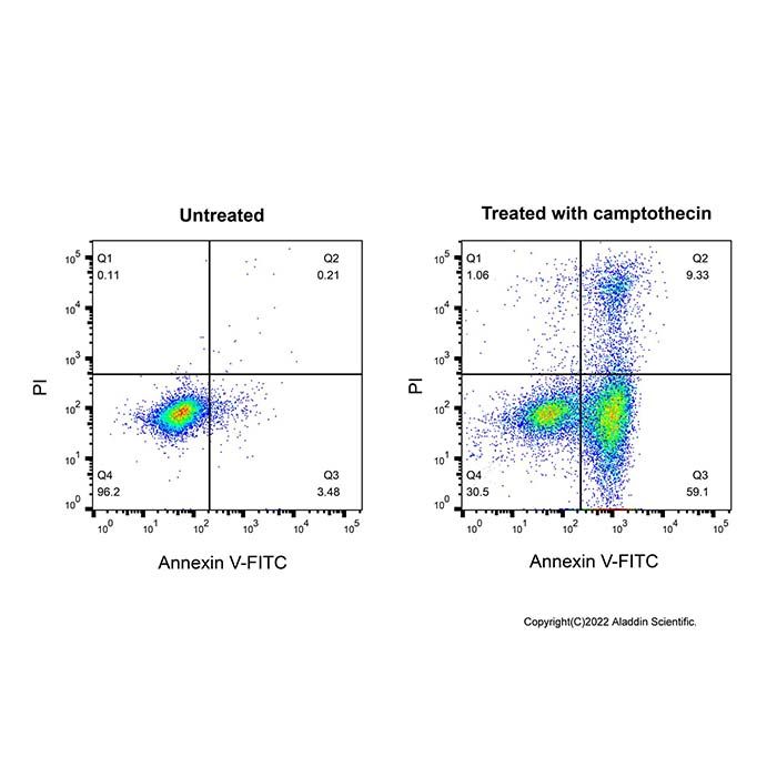 Annexin V-FITC