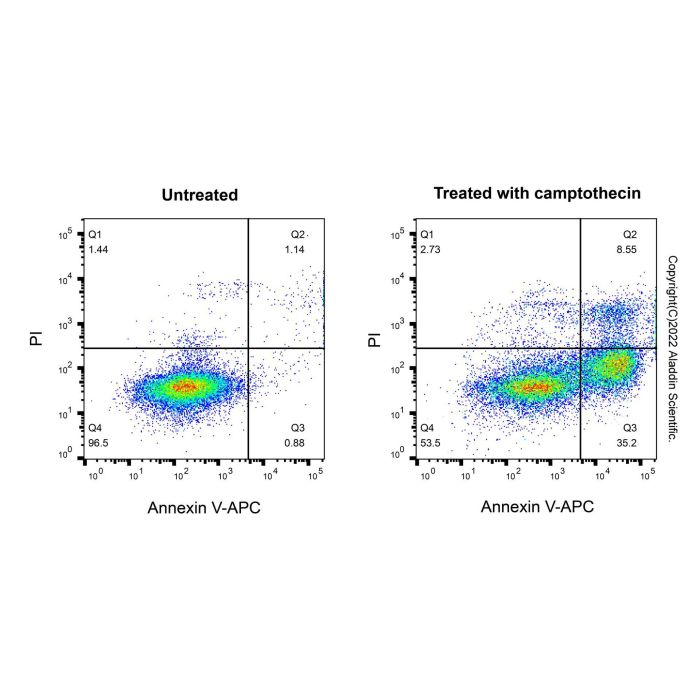 Annexin V-APC