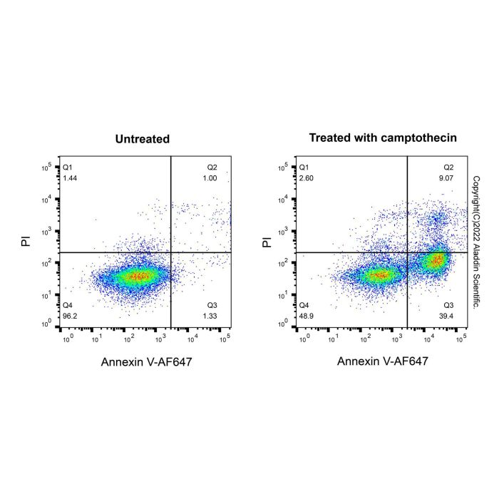 Annexin V-AF647