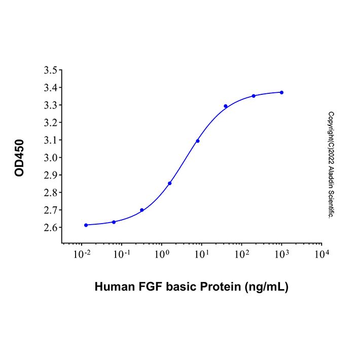 Recombinant Human FGF basic Protein