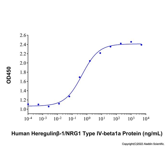 Recombinant Human NRG1-beta 1/HRG1-beta 1 EGF Domain Protein