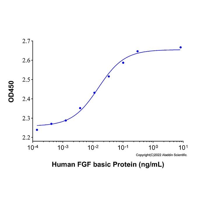 Recombinant Human FGF basic Protein