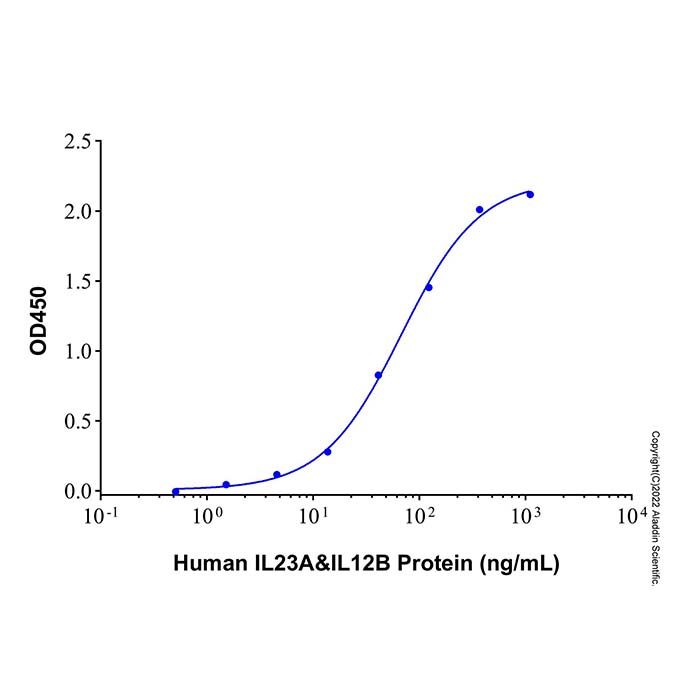 Recombinant Human IL-23 Protein