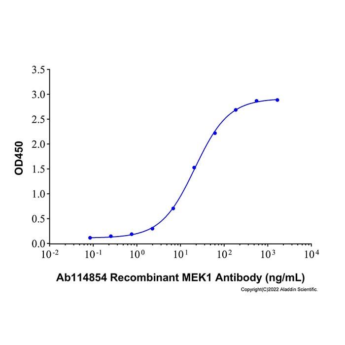 Recombinant Human MEK1 Protein