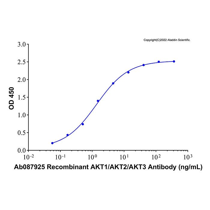 Recombinant Human AKT3 Protein