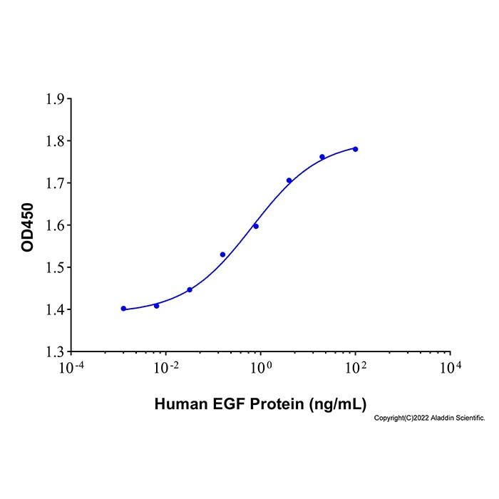 Recombinant Human EGF Protein