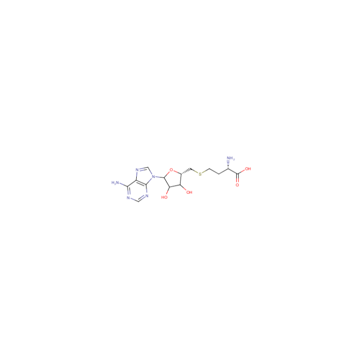 S-(5’-腺苷)-L-高半胱氨酸（SAH）
