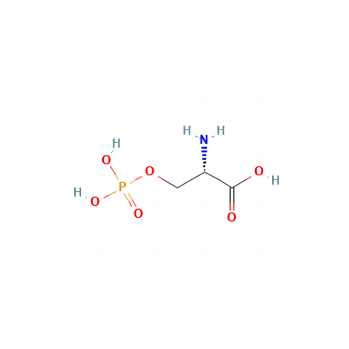 L-O-磷酸丝氨酸（L-SOP）, mGlu 4 受体激动剂；mGlu 6 受体激动剂；mGlu 7 受体激动剂；mGlu 8 受体激动剂