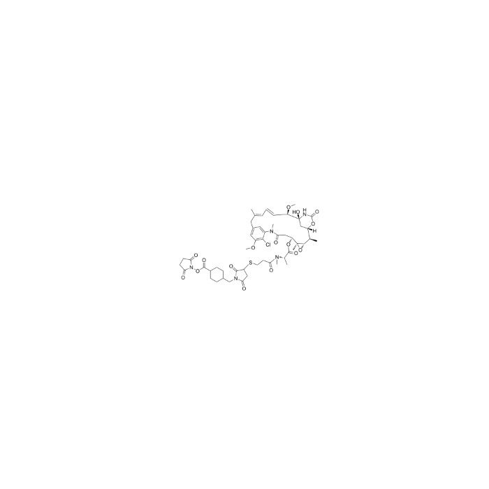 SMCC-DM1