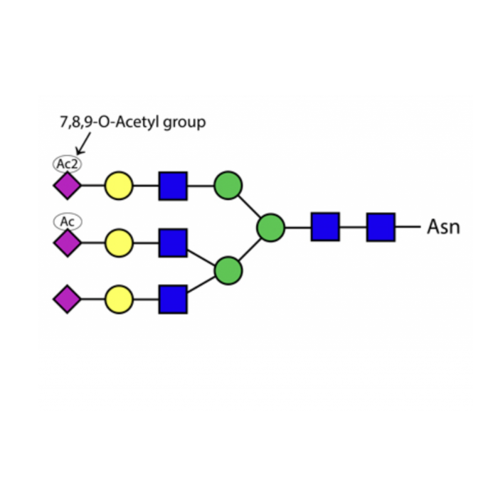 Sialate O-acetylesterase kit