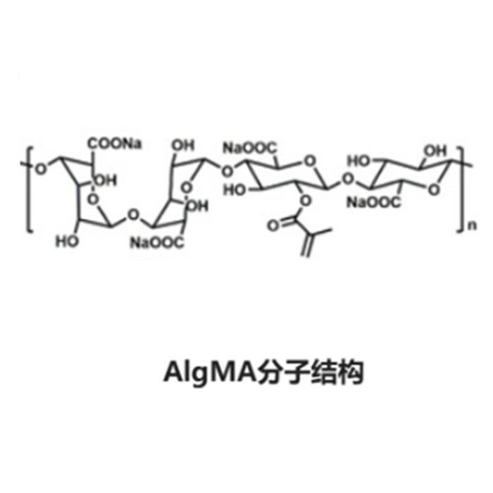 甲基丙烯酸酯化海藻酸钠 (AlgMA)