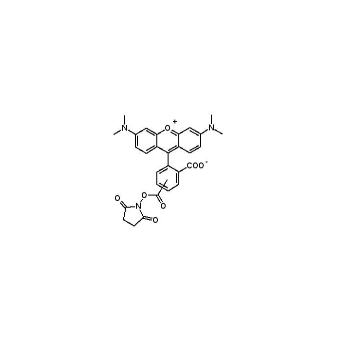 5(6)-TAMRA, 5(6)-羧基四甲基罗丹明琥珀酰亚胺酯
