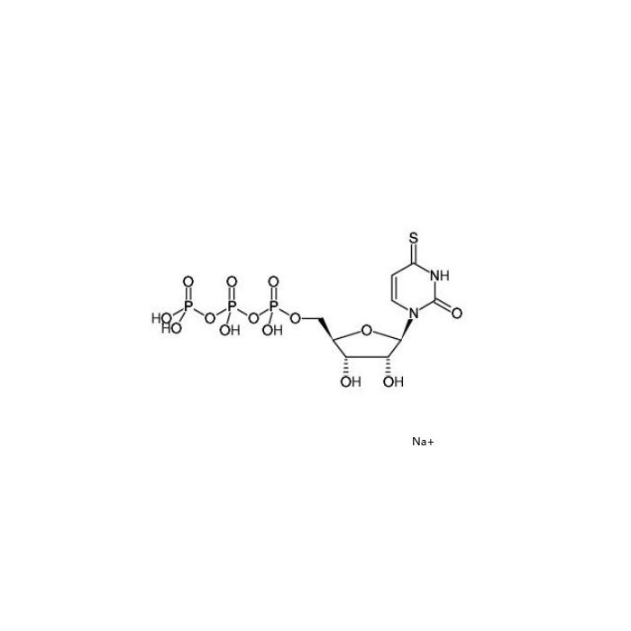 4-Thiouridine-5'-triphosphate sodium salt, P2Y 2 受体激动剂