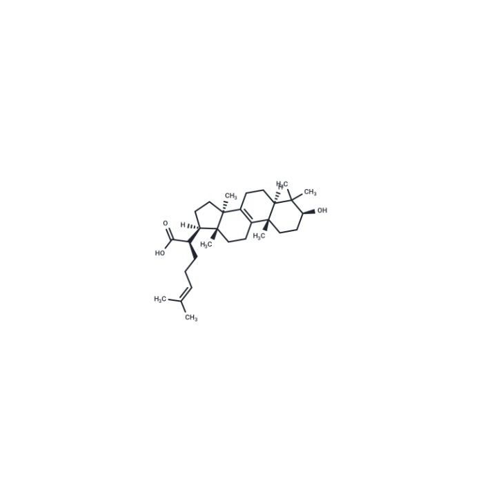 Trametenolic acid