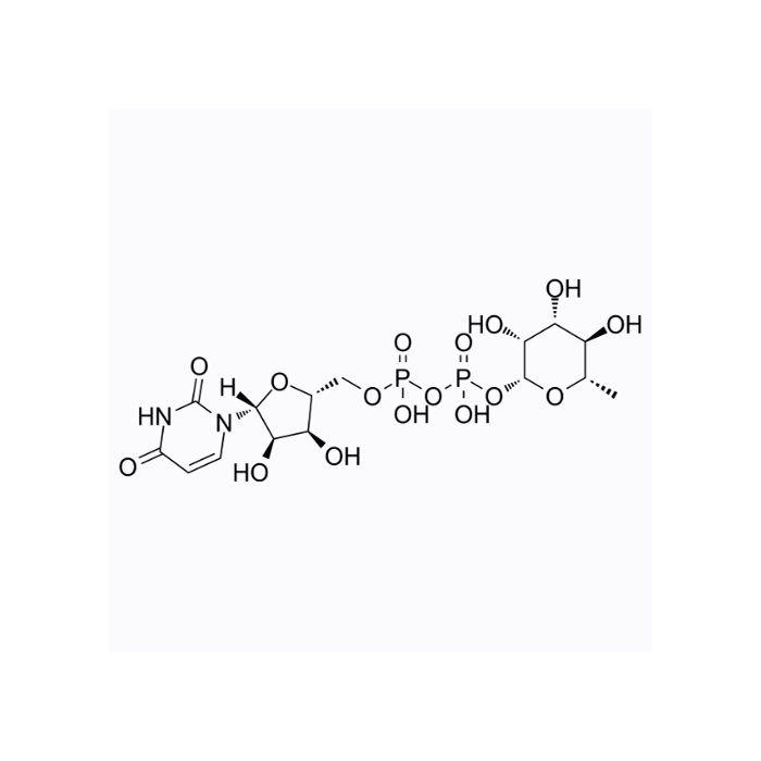 UDP-rhamnose