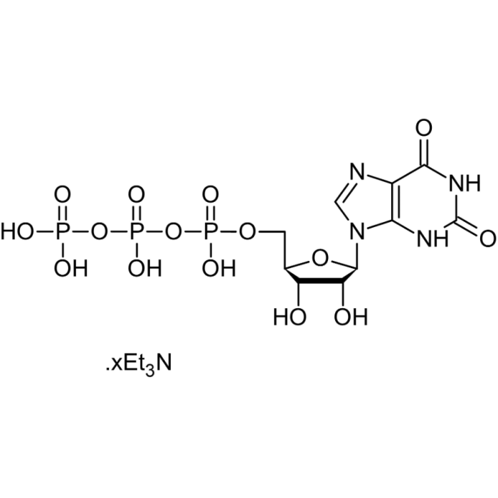 XTP三乙胺盐（水溶液）
