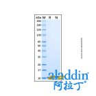 Recombinant Mouse CXCL1/KC Protein