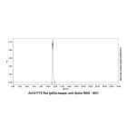 Rat IgG2a-kappa, anti-Spike RBD