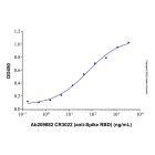 CR3022 (anti-Spike RBD)