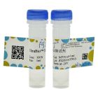 UltraBio™支原体去除试剂