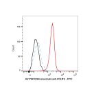Mirvetuximab (anti-FOLR1)