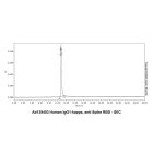 Human IgG1-kappa, anti-Spike RBD