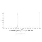 Rat IgG2b-kappa, anti-Spike RBD