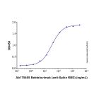 Bebtelovimab (anti-Spike RBD)