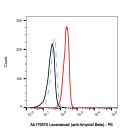 Lecanemab (anti-Amyloid Beta)