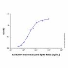 Imdevimab (anti-Spike RBD)