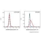 Finotonlimab (anti-PD-1)
