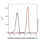 Human IgG1-lambda1, anti-Spike RBD