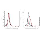Nofazinlimab (anti-PDCD1)