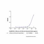 U.Illinois scFv59 (anti-Amyloid Beta)