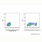 Mouse IgG2a-kappa (Biotin), anti-Spike RBD