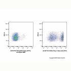 Rat IgG2b-kappa (FITC), anti-Spike RBD